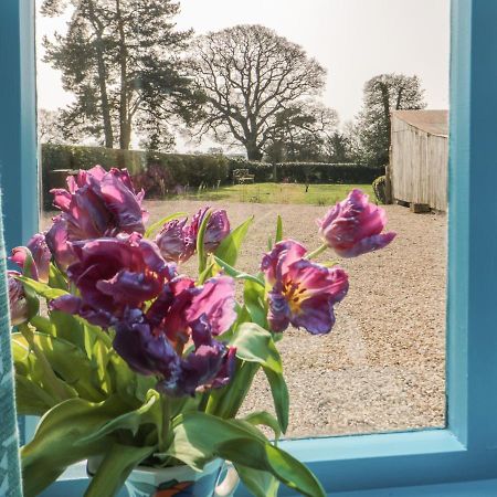 Foxglove Cottage York Exterior foto